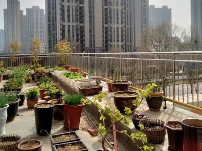 喜师傅个人阳台不锈钢栏杆项目